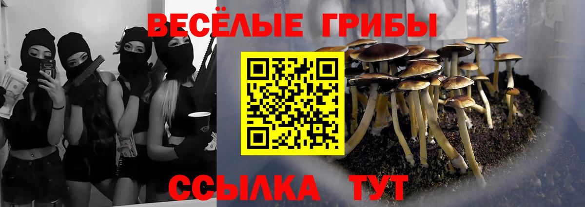 Псилоцибиновые грибы мухоморы Шумерля